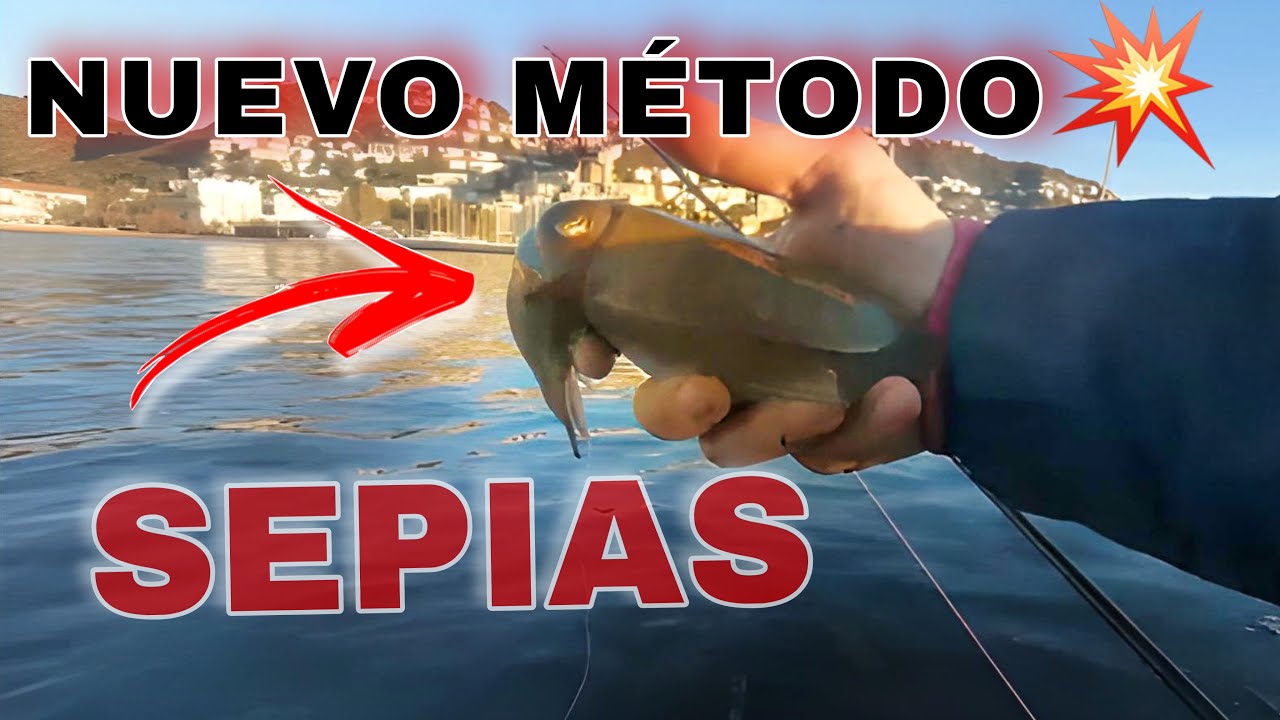 NUEVA MODALIDAD que PESCA MUCHAS SEPIAS Y CALAMARES a EGING llamada PATEGING