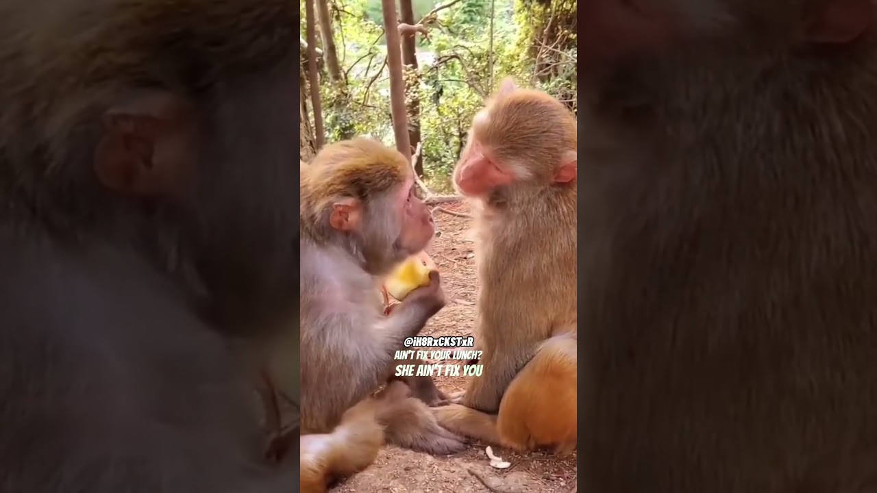 Когда твой друг не хочет делиться! — закадровый голос RxCKSTxR!