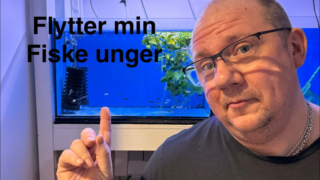 24. januar 2026