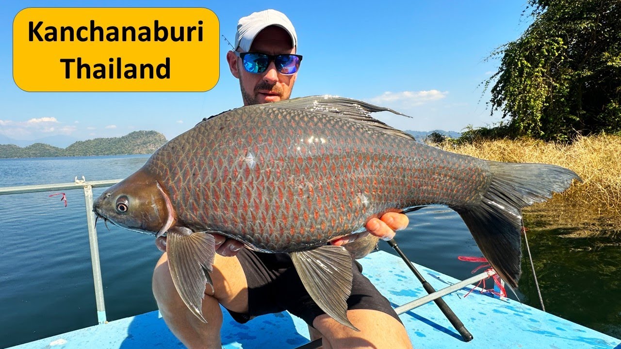 Рыбалка на плотине Као Лаем в Канчанабури. Рыбалка в Таиланде на карпа Black Sharkminnow