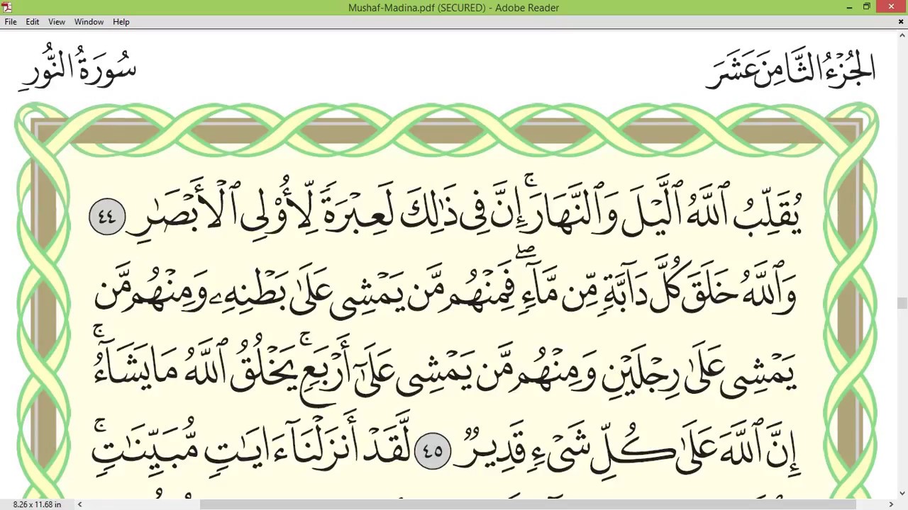 Practice reciting with correct tajweed - Page 356 (Surah An-Nur)