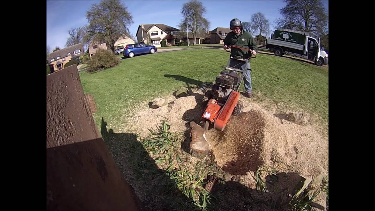 Mjc tree care with husqvarna sg13