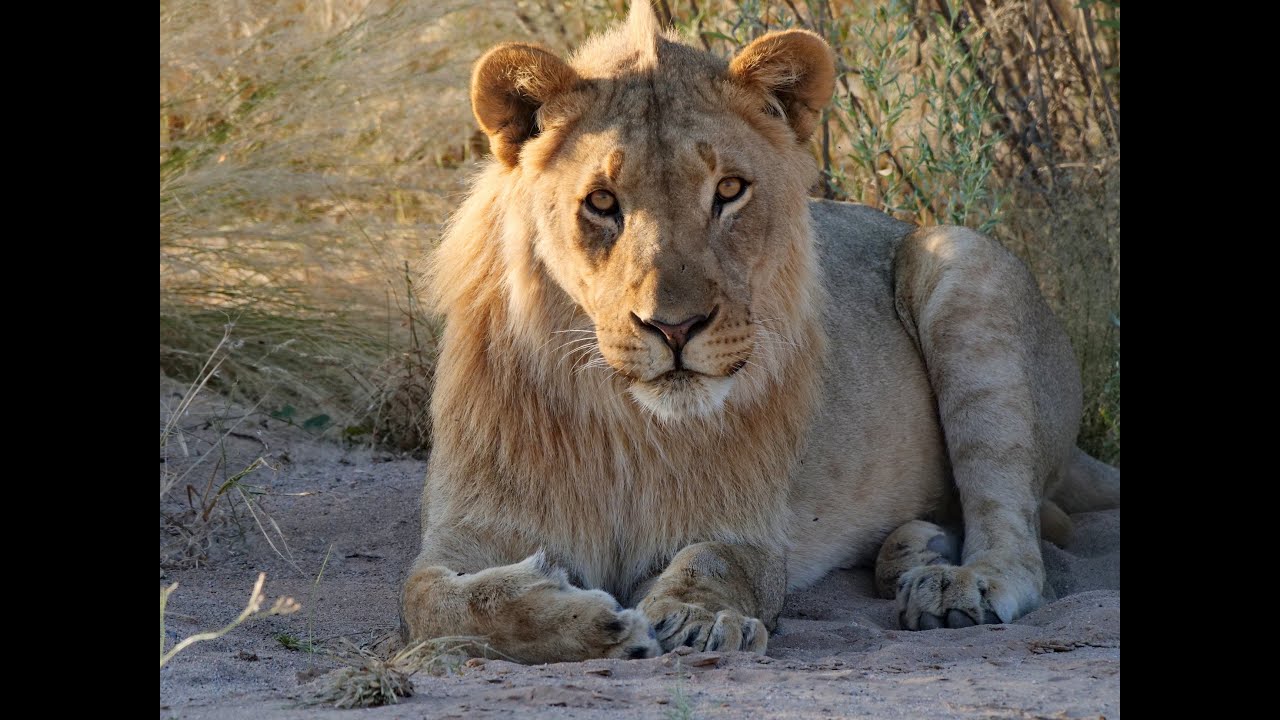 2) Namibia 2025 -  Teil 2