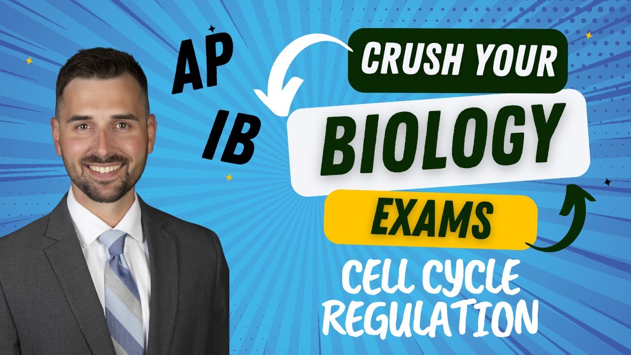 Cell Cycle Regulation