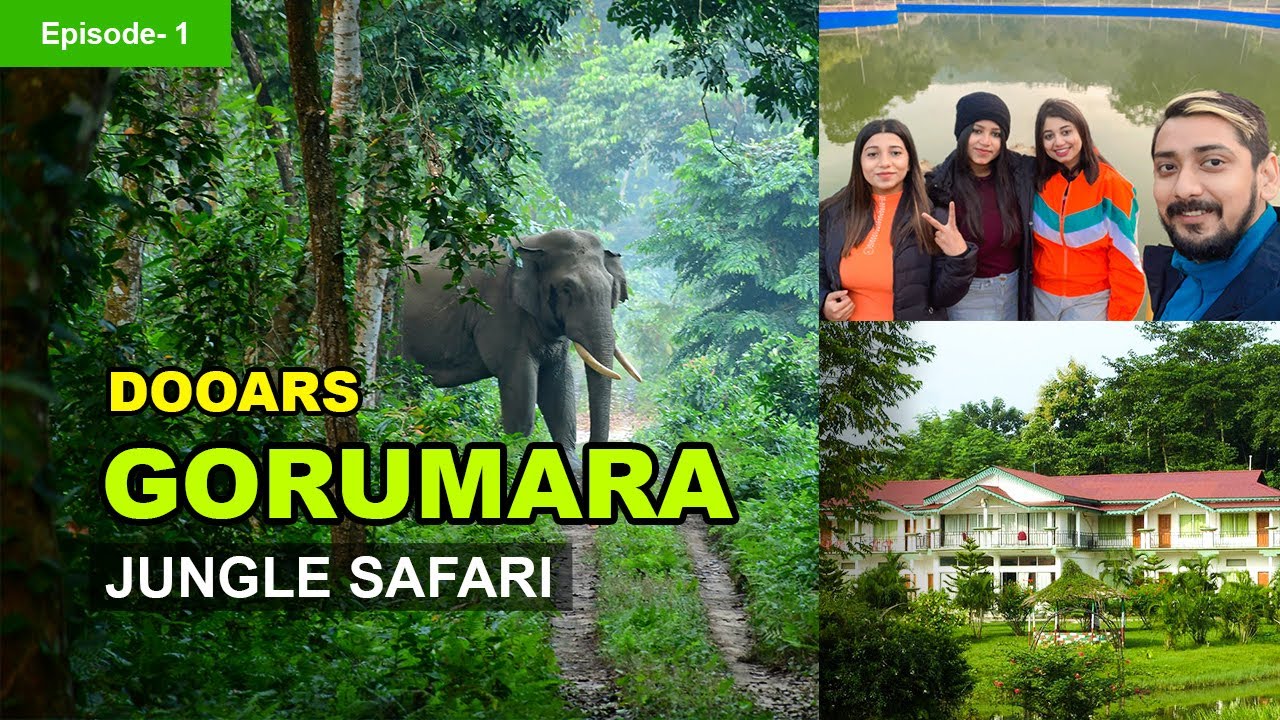 Gorumara Jungle Safari | Dooars | Lataguri | Zeep Safari | Green Lagoon Resort | Episode- 1