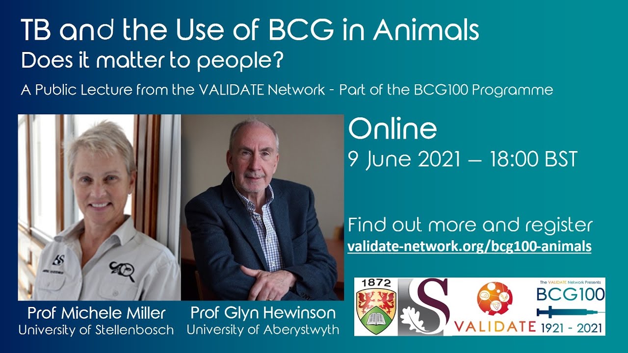 TB and the use of BCG in Animals   Does it matter to people
