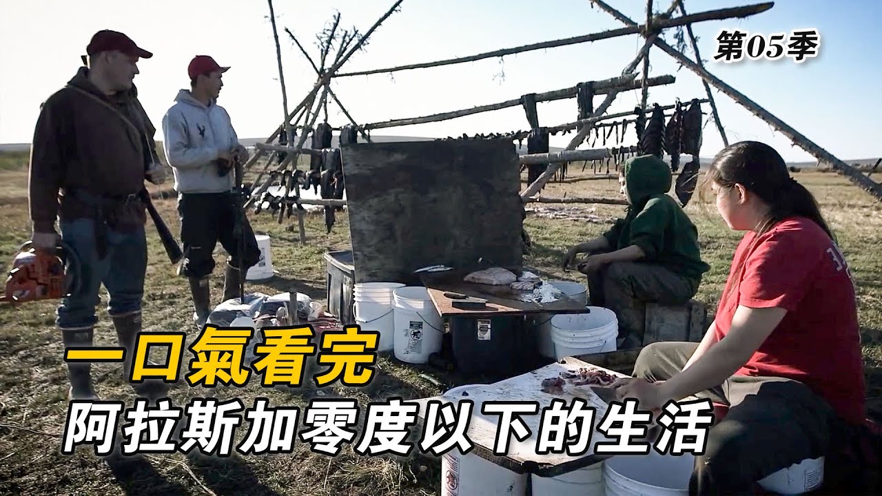 一口氣看完阿拉斯加零度以下的生活：製作鹿肉香腸修復雪地車，捕獲21隻野兔火燒木屋，人們在荒野實現自給自足！紀錄片