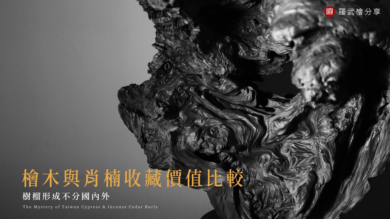 【羅武檜分享】檜木與肖楠收藏價值比較 ．第八集