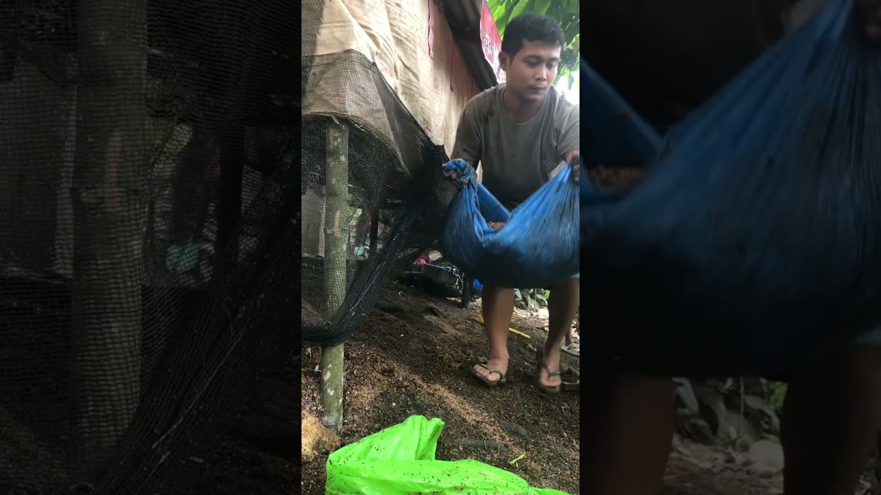 clearing operation full video
