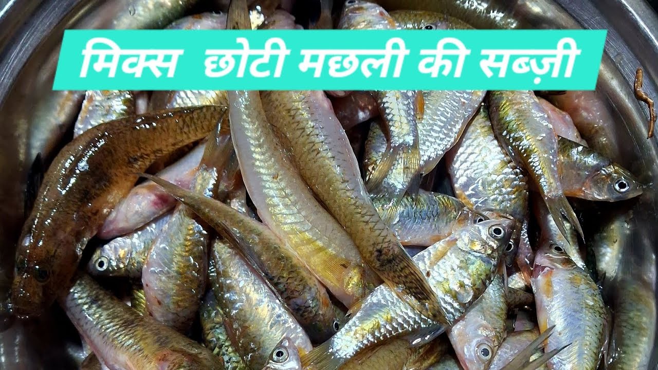 Mix choti  machli ki nai recipe#  छोटी मसालेदार मछली # cooking #viralfood 🐟🐟