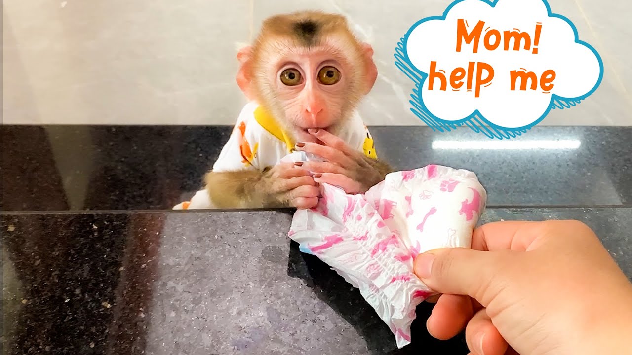 Monkey Puka wakes up to find Mom, help him change diapers and shower