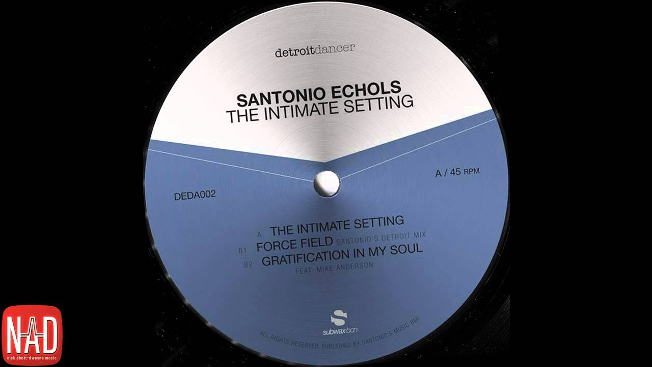 Santonio Echols feat. Mike Anderson - Gratification In My Soul