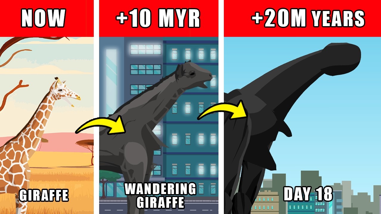Day 18 Origin Evolution: How Day 18 Could Have Evolved