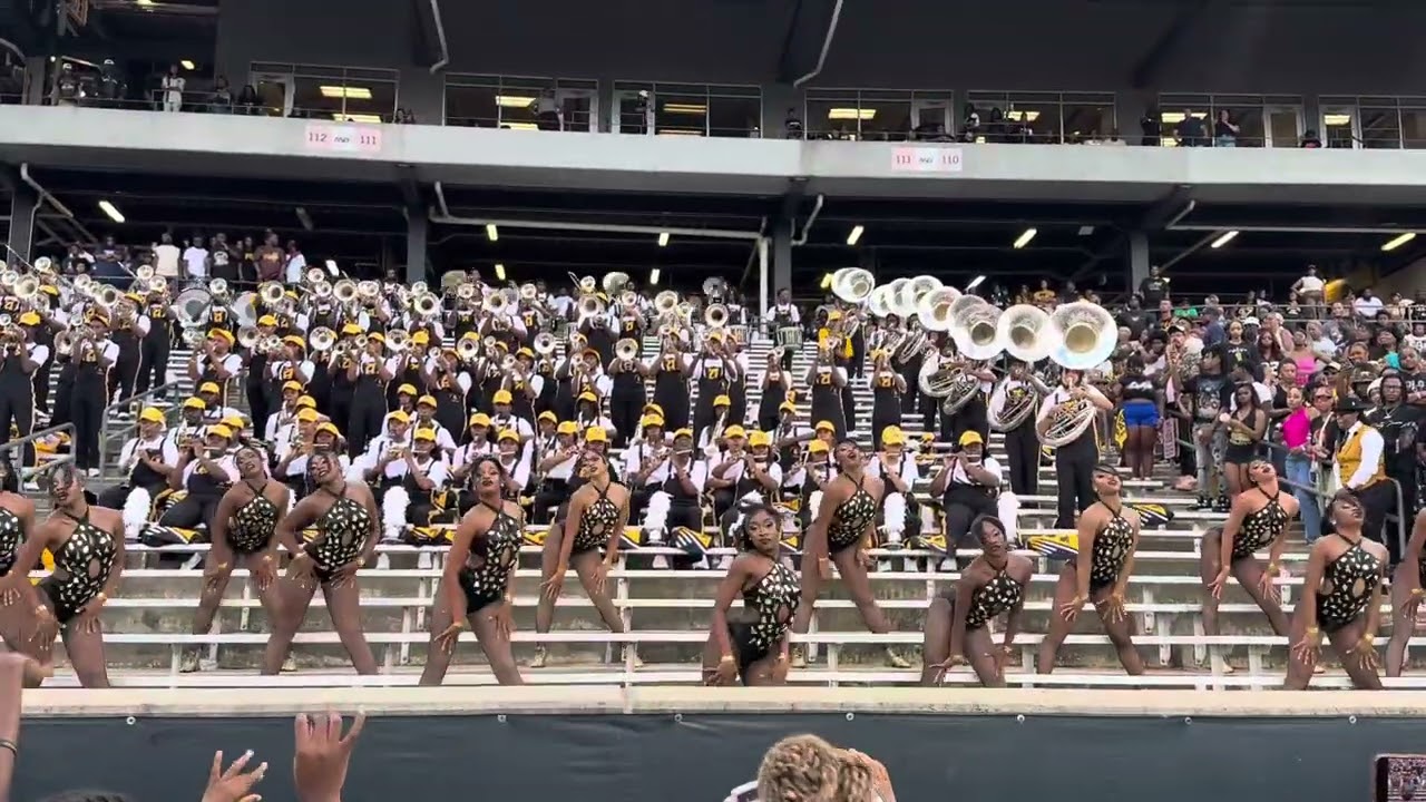 ASU Sensational Stingettes | “Is It A Crime” FAMU 2024 🐝