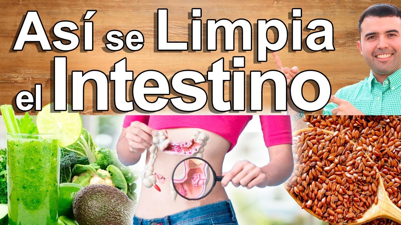 As&iacute; Se Limpia El Intestino - C&oacute;mo Limpiar Y Desintoxicar El Colon Y Los Intestinos Naturalmente