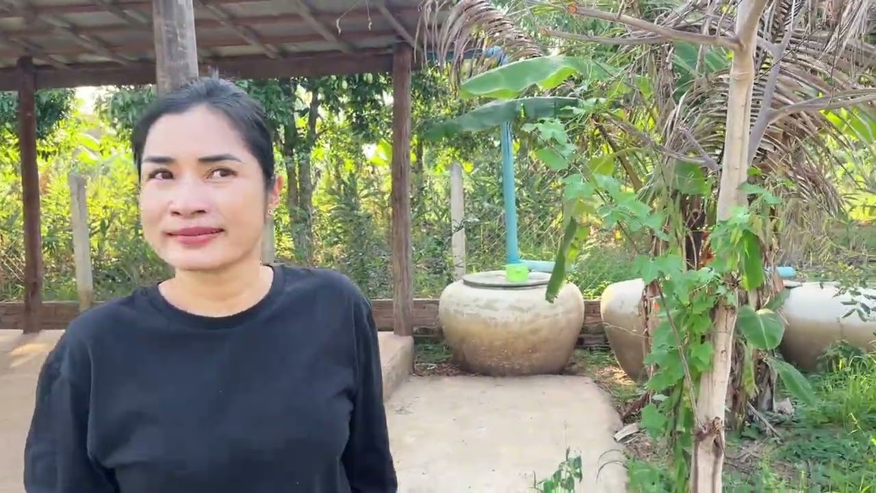ចម្ការដំណាំគ្រួសាររីករាយ
