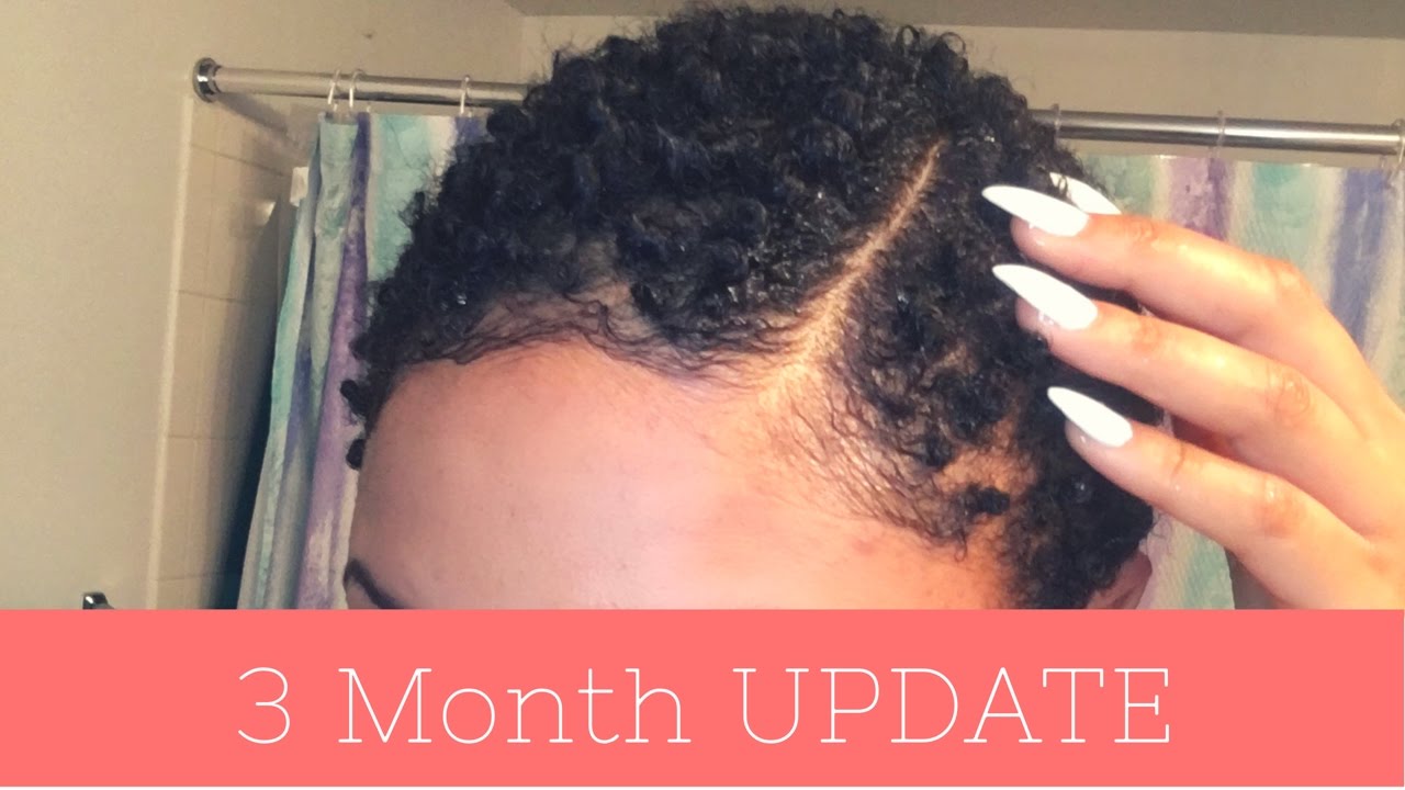 3 Month Big Chop Update!