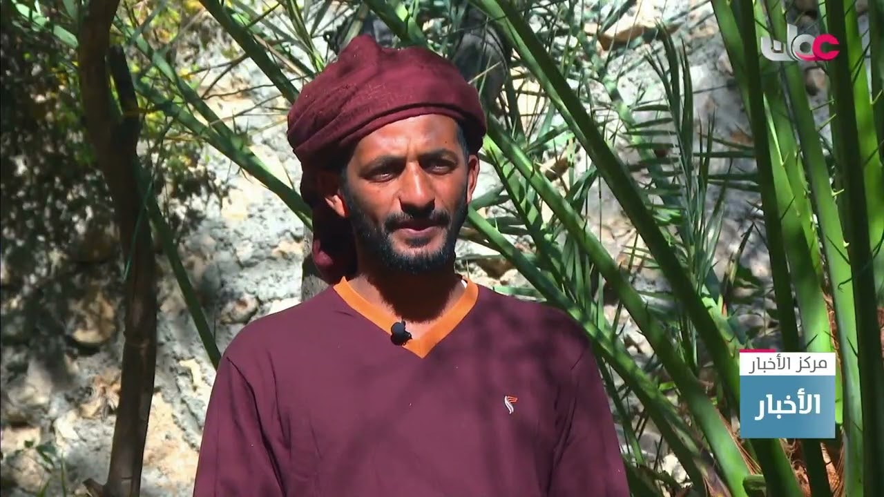 تفاصيل الحياة اليومية في قرية الجيلة بمحافظة جنوب الشرقية.