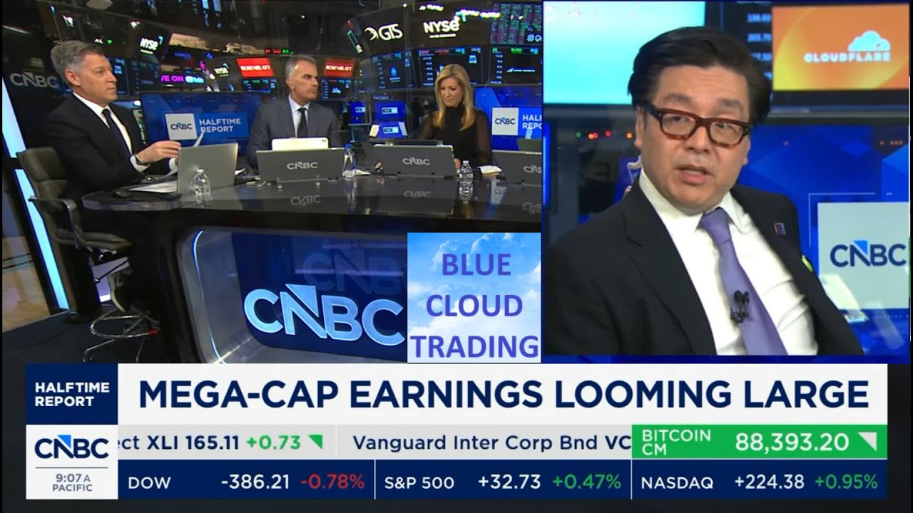 TOM LEE ON MAG 7 Stocks