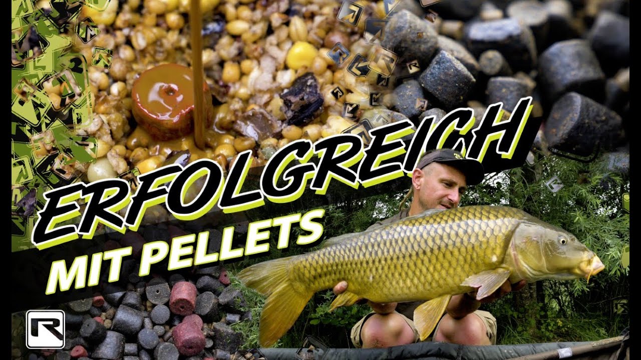 Karpfenangeln f&uuml;r Anf&auml;nger: Pellets - Alles was du wissen musst!