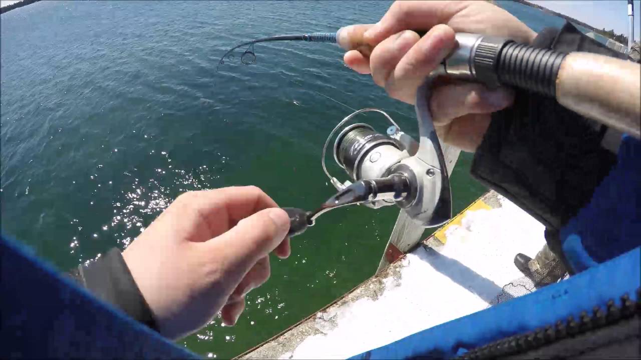 Splake Fishing off the Hessel Pier