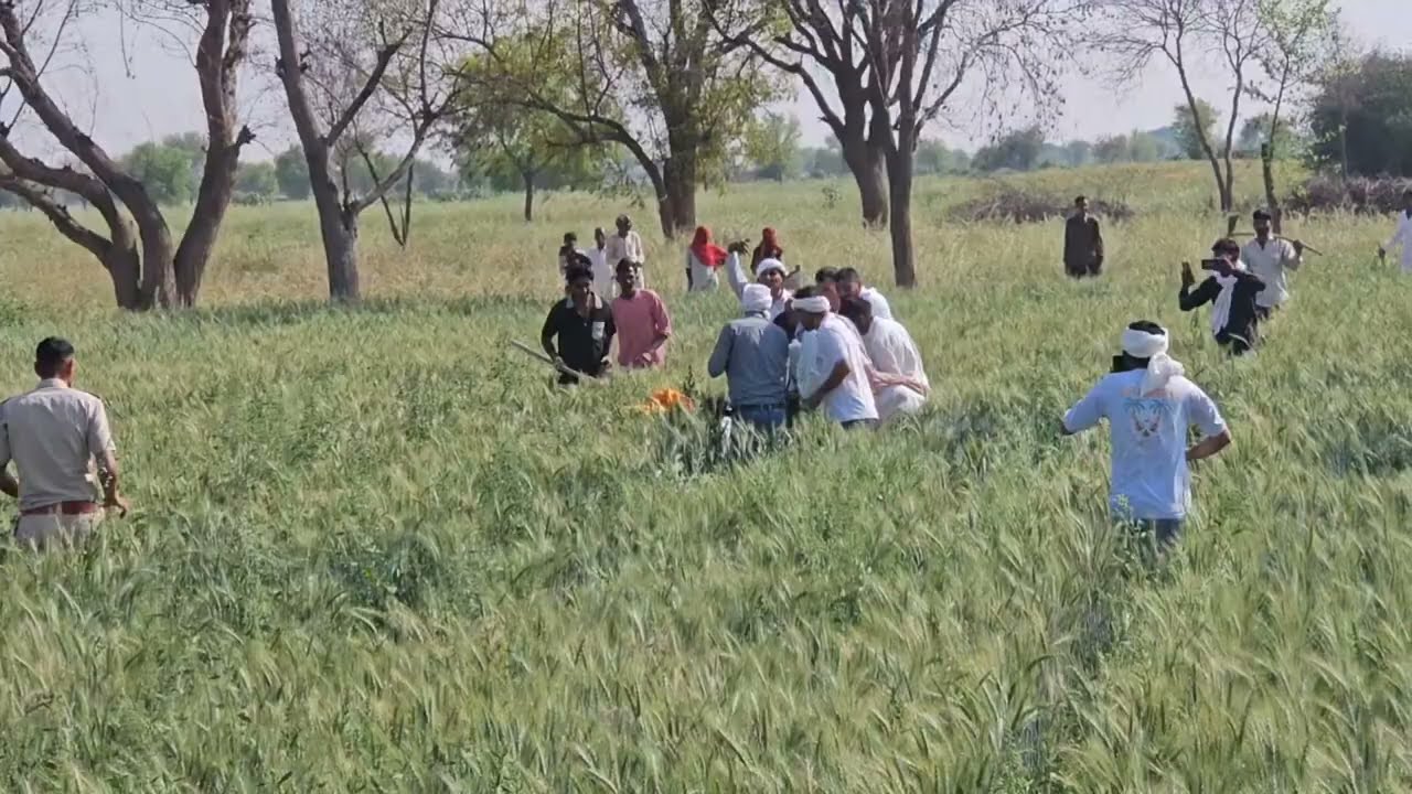 जंगली जानवर का आखिर कर लिया गया रेस्क्यू वन विभाग टीम और ग्रामीणों द्वारा । नोहर के 16 JSN में 