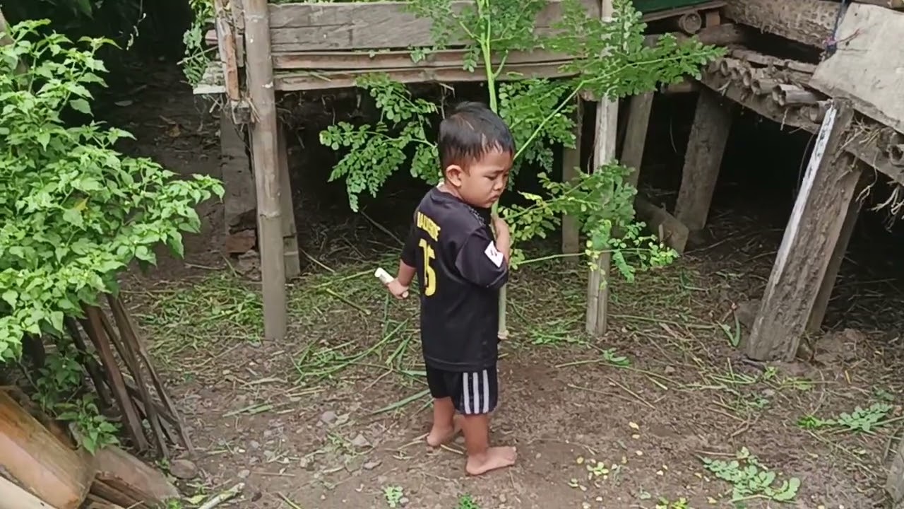 petualangan gembala 