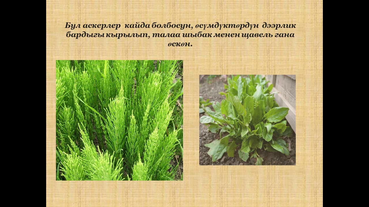 Химиялык жомок аркылуу тапшырма