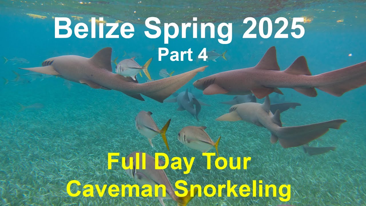 Belize Vacation May 2025 - Part 4 Caveman Snorkeling Tour