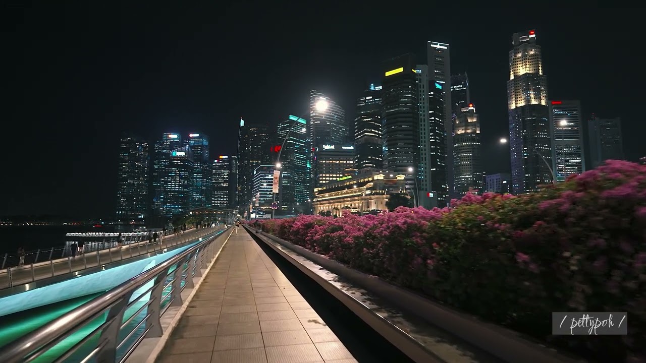Testing the Sony ZV-E1 camera at night