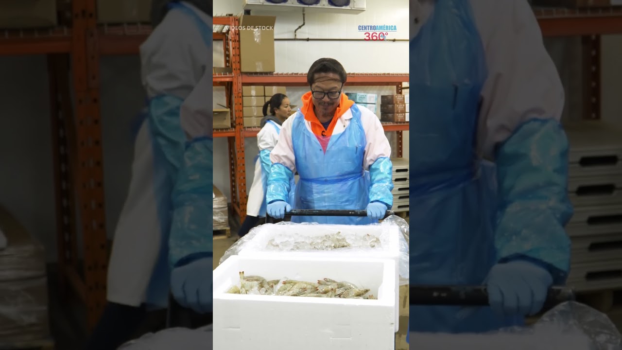 Exportaciones de Guatemala a Taiwán consolidan una alianza comercial estratégica