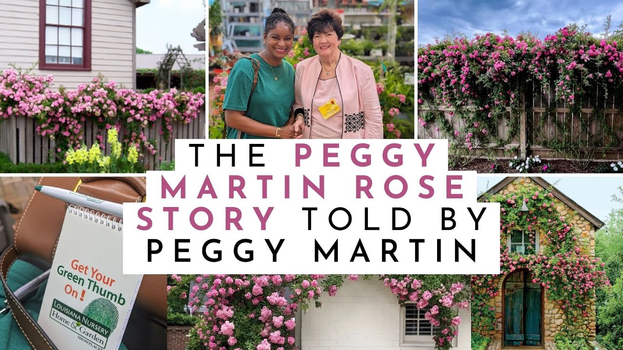 The Peggy Martin Rose Story - Told by Peggy Martin