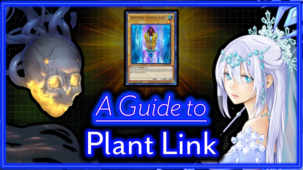 A Guide to Plant Link