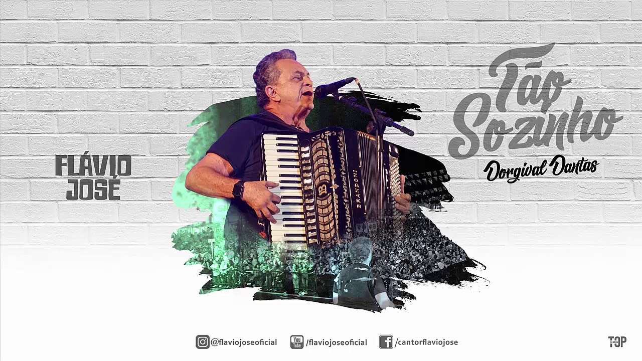 Tão Sozinho - Flávio José