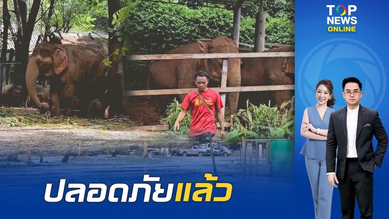 จนท.อุทยานฯ ระดมช่วย ช้างและสัตว์หลายพันชีวิตหนีน้ำท่วมไปอยู่ที่ปลอดภัยแล้ว