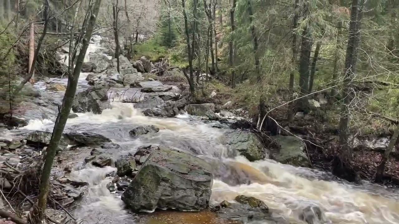 Hoegne - Statte - Solwaster (7 febr. 2022)