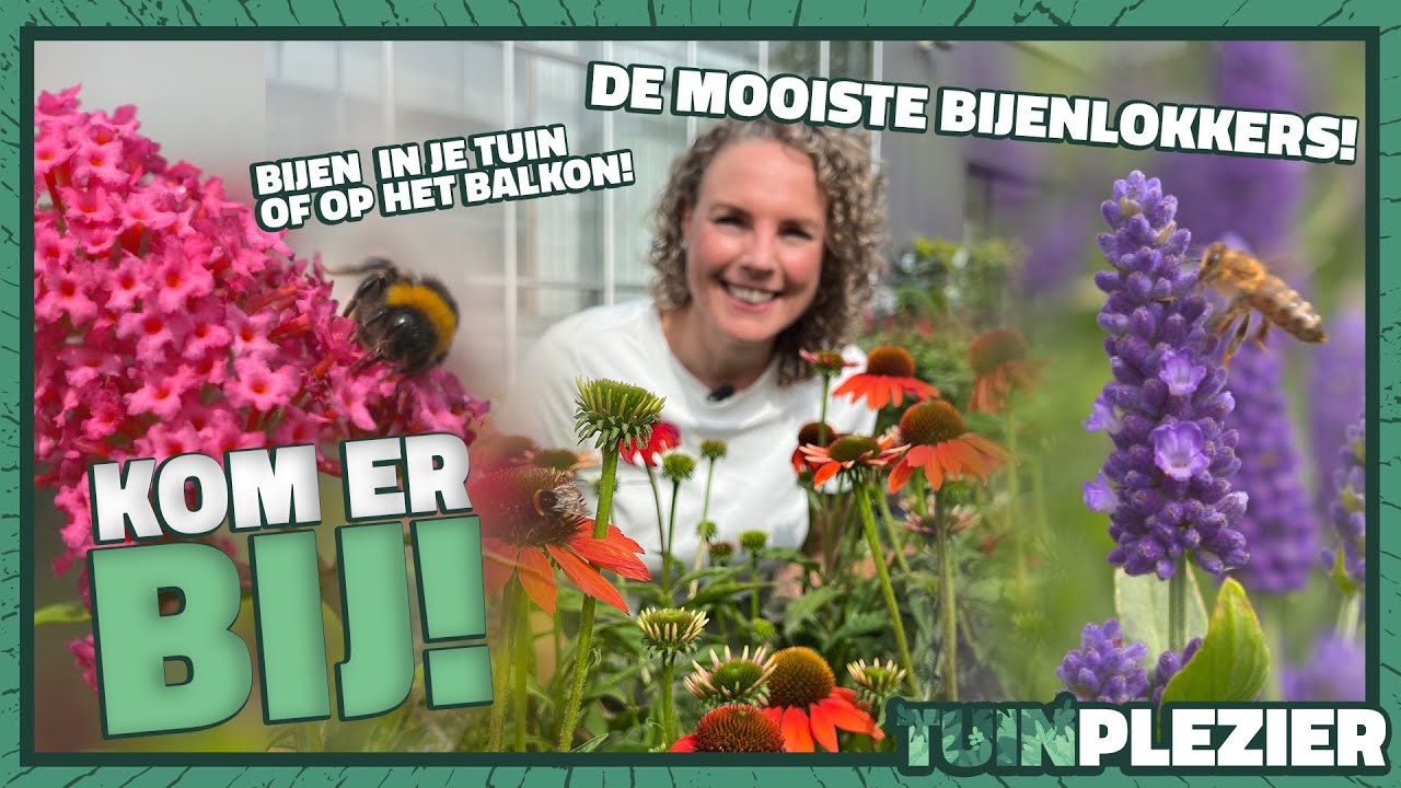 Kom erBIJ! 🐝 🦋 Welke planten kies je voor meer bijen en vlinders in de tuin? | Tuinplezier 🪴