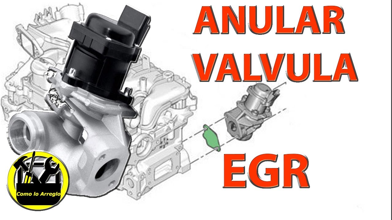 EGR Anular SIN FALLOS 1.6 HDI psa
