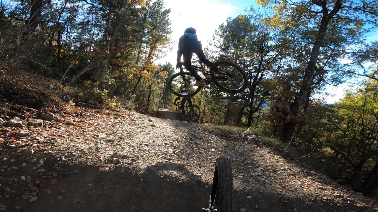 La whip it à evobikepark