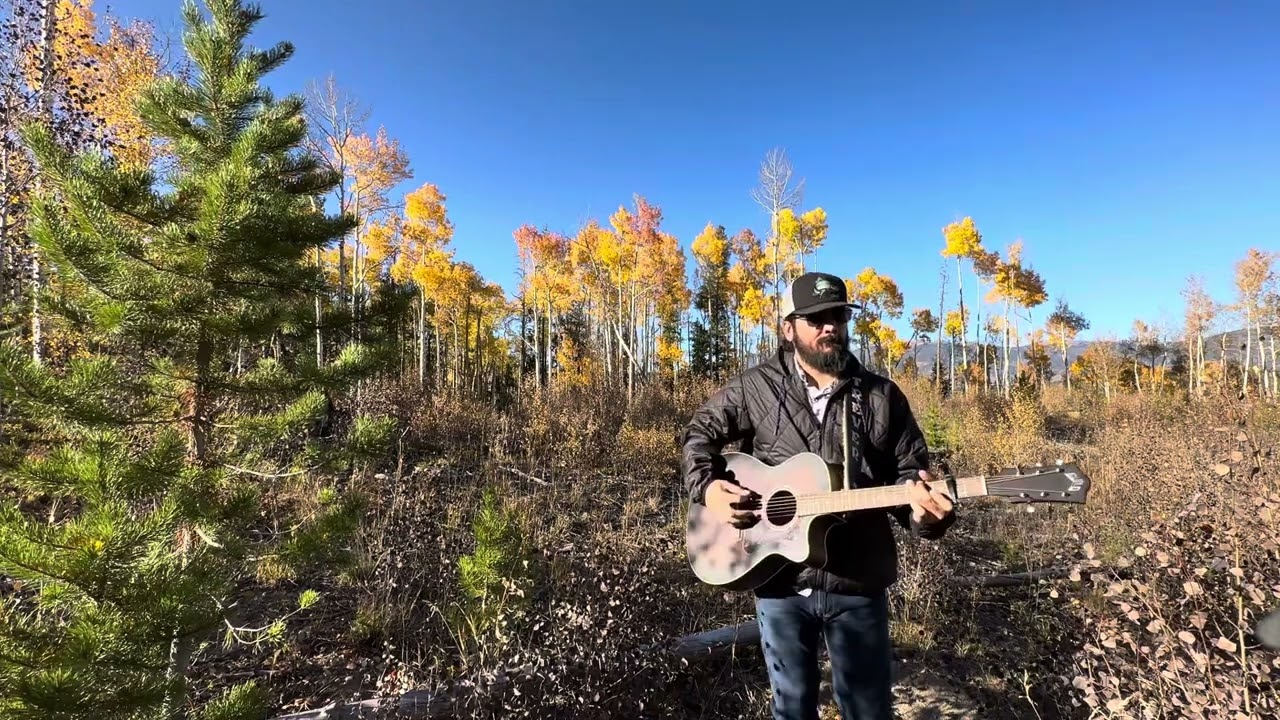 In My Arms Instead - Randy Rogers Band - cover by Trever Carico
