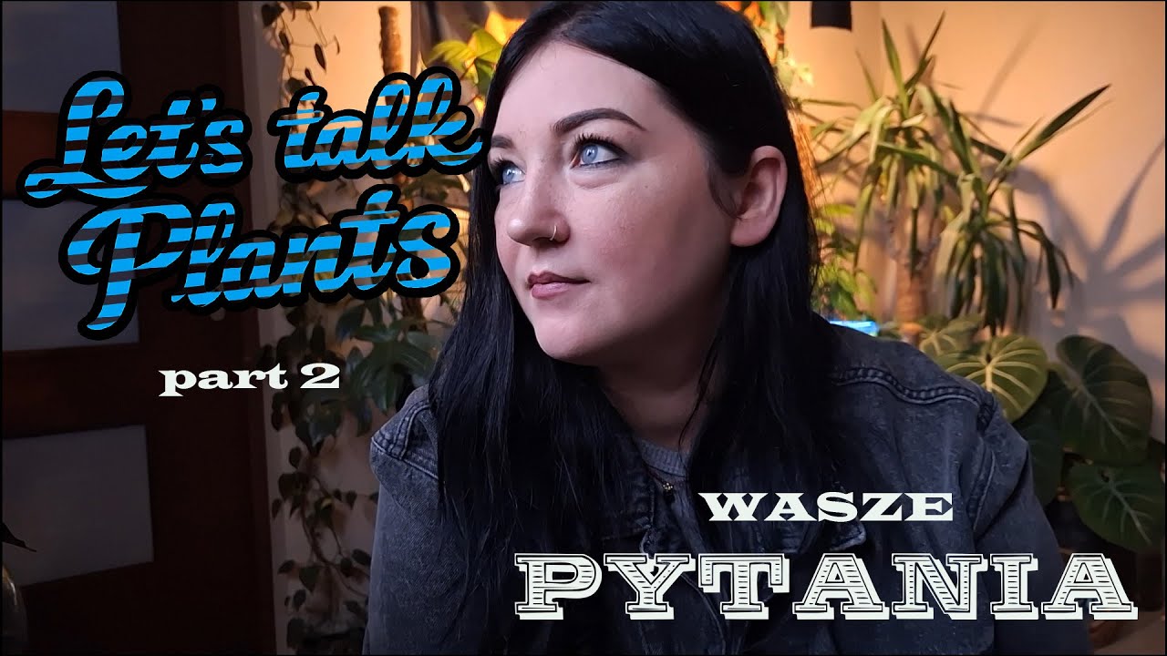 You Ask and I answer🌱 / Roślinne Q&A czyli odpowiadam na Wasze pytania cz.2