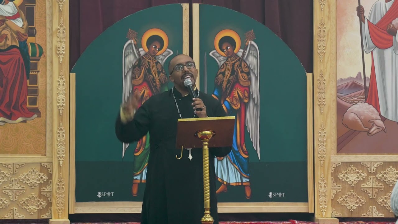 Дорога в Дамаск — неделя 3