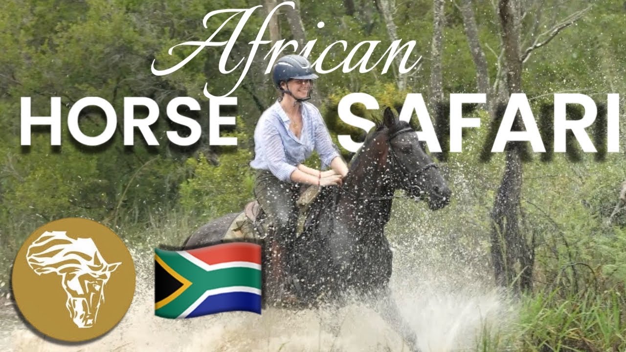 WHAT HAPPENED ON HORSE RIDING SAFARI? Part 1: South Africa