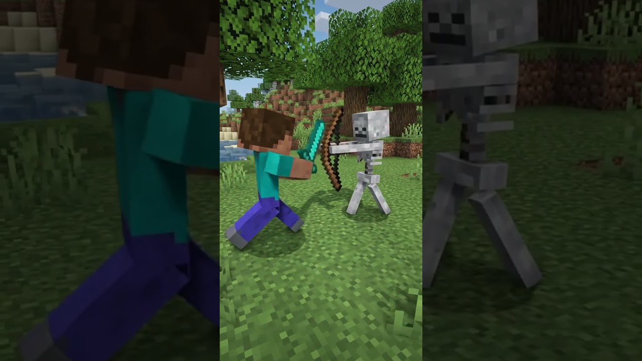Minecraft flight with skeleton 😠😠 