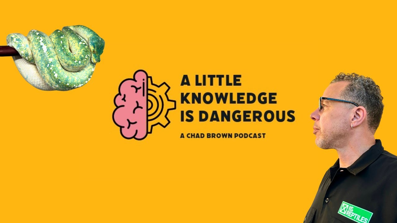 A LITTLE KNOWLEDGE IS DANGEROUS | CHAD BROWN PODCAST | PILOT EPISODE
