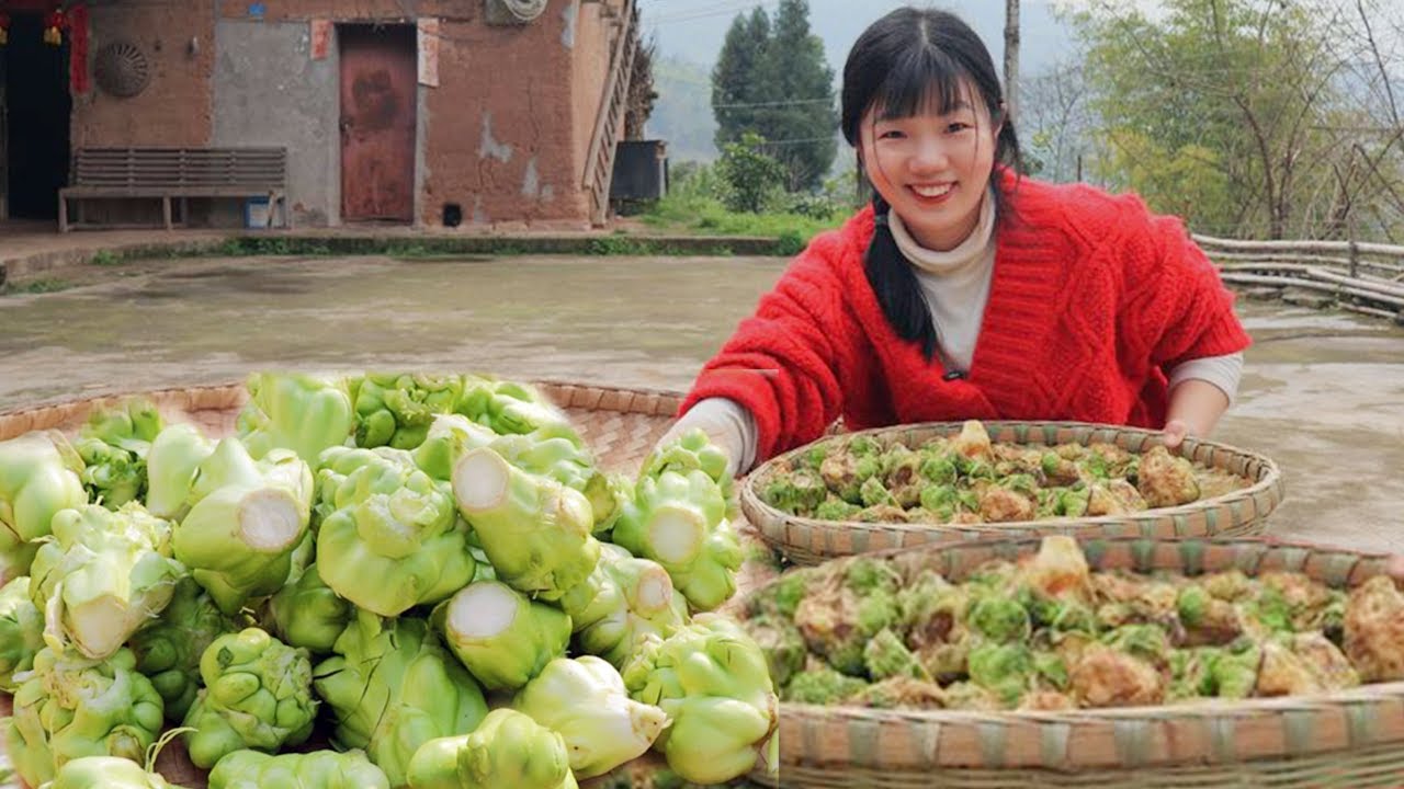 召集全村收澗陵榨菜頭，1角3一公斤收100公斤做手工榨菜，春天澗陵人忙做榨菜！ 【燕麥行遊】