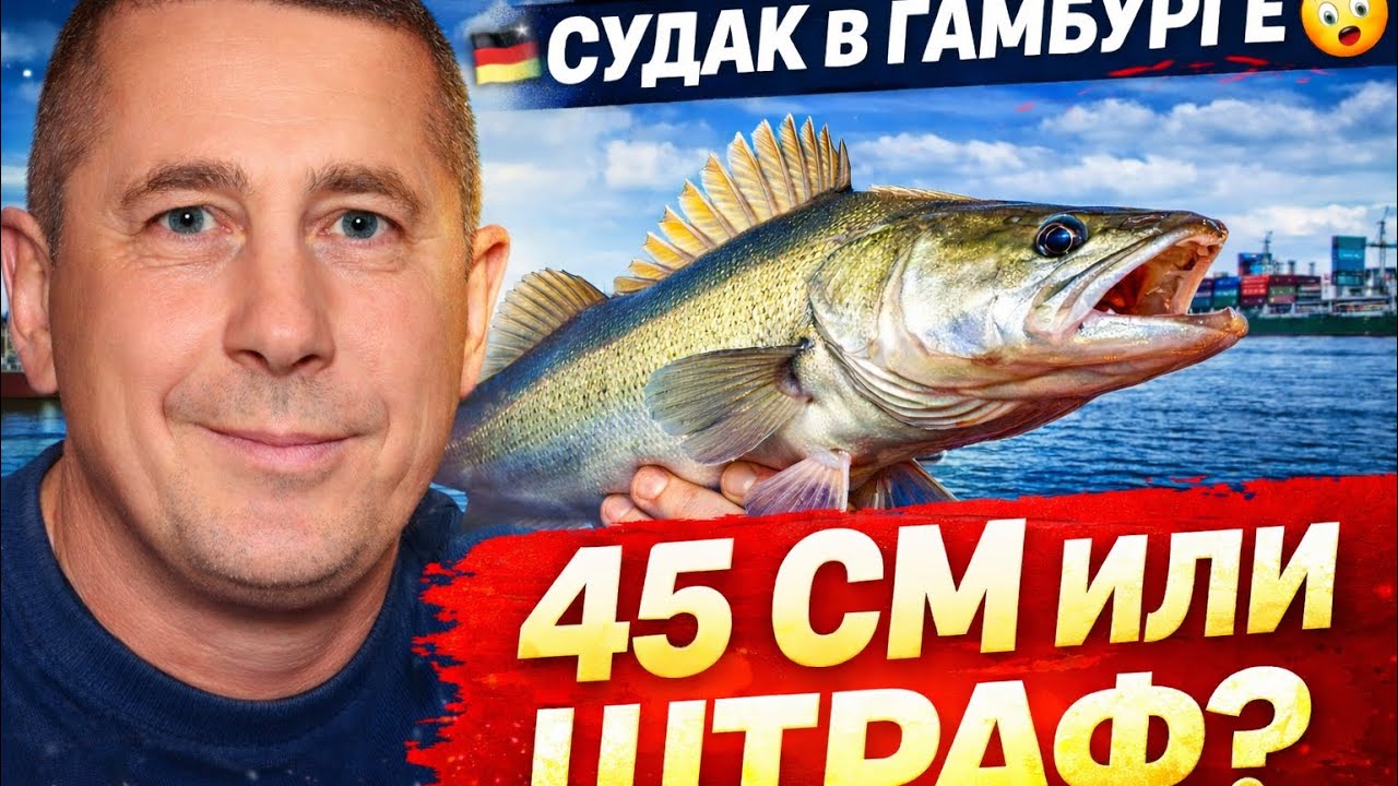 СУДАК В ГАМБУРГЕ 😱 Где ловить, на что клюёт и за что реально штрафуют