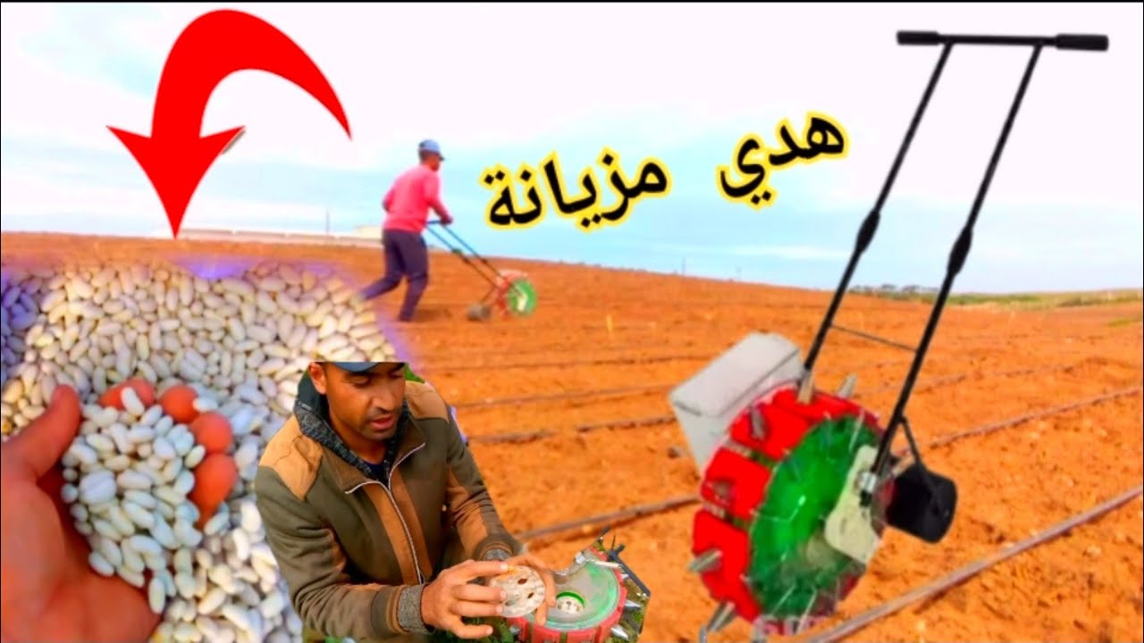 هدي هيا المكينة ديال اللوبيا البيضاء