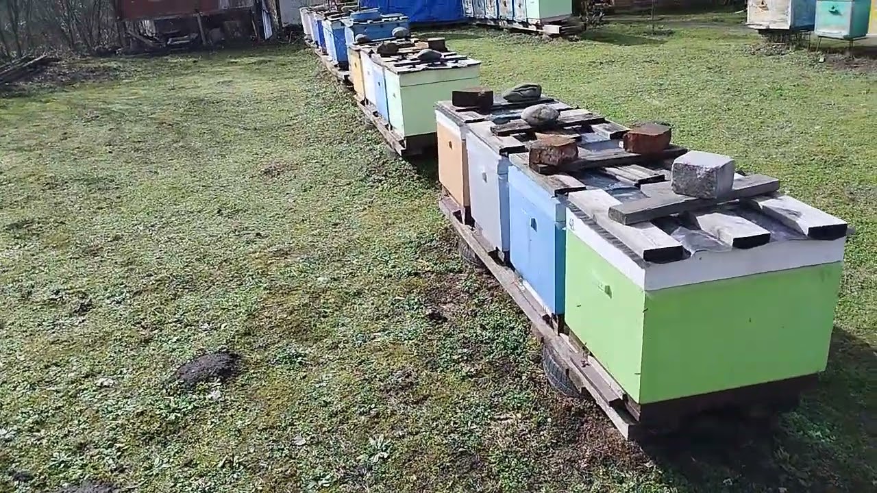 Шикарный день