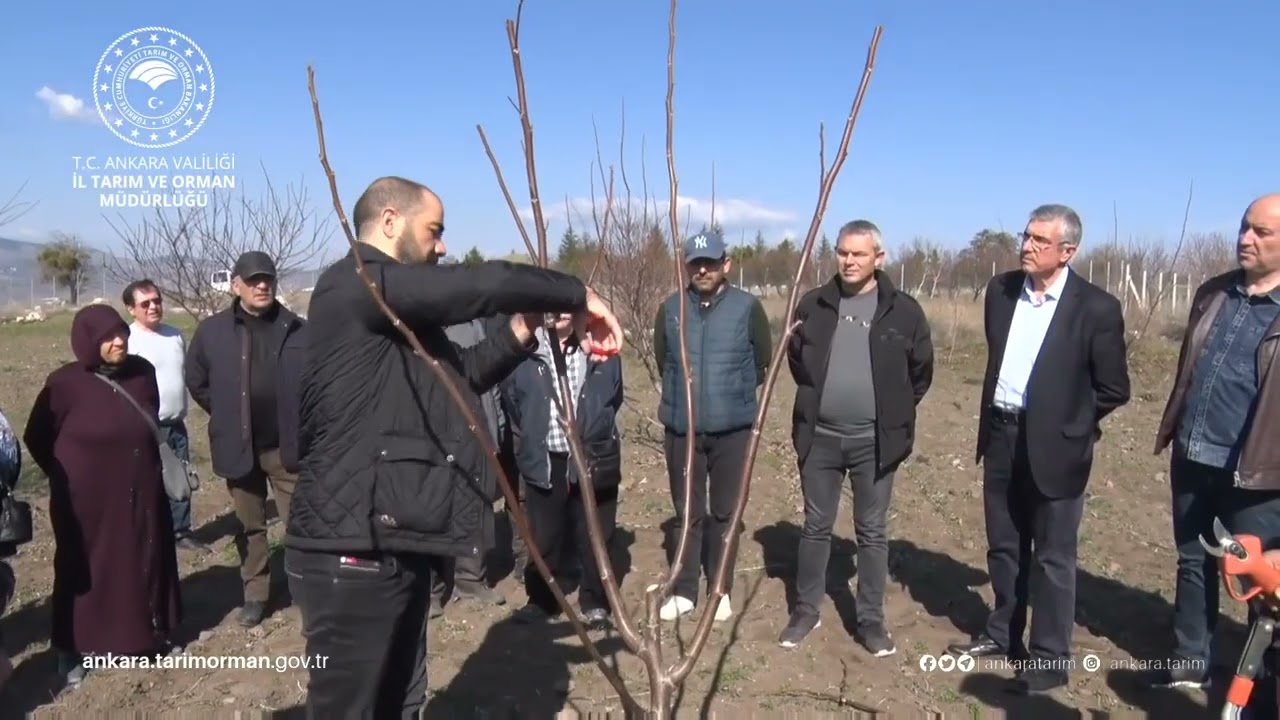 MEYVECİLİKTE BUDAMA VE ENTEGRE MÜCADELE